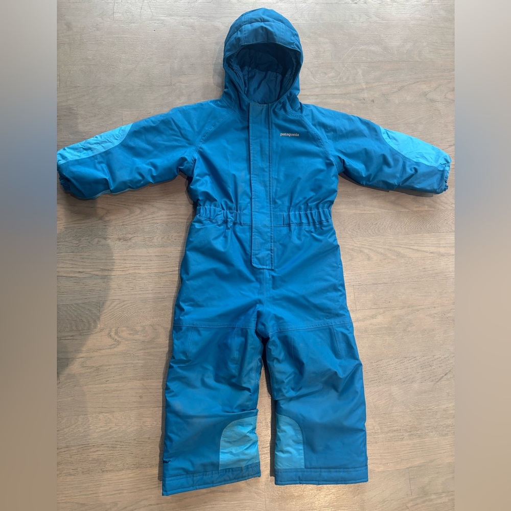 Patagonia Vibrant Blue Hooded Jacket